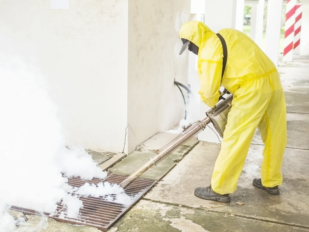 mold remediation