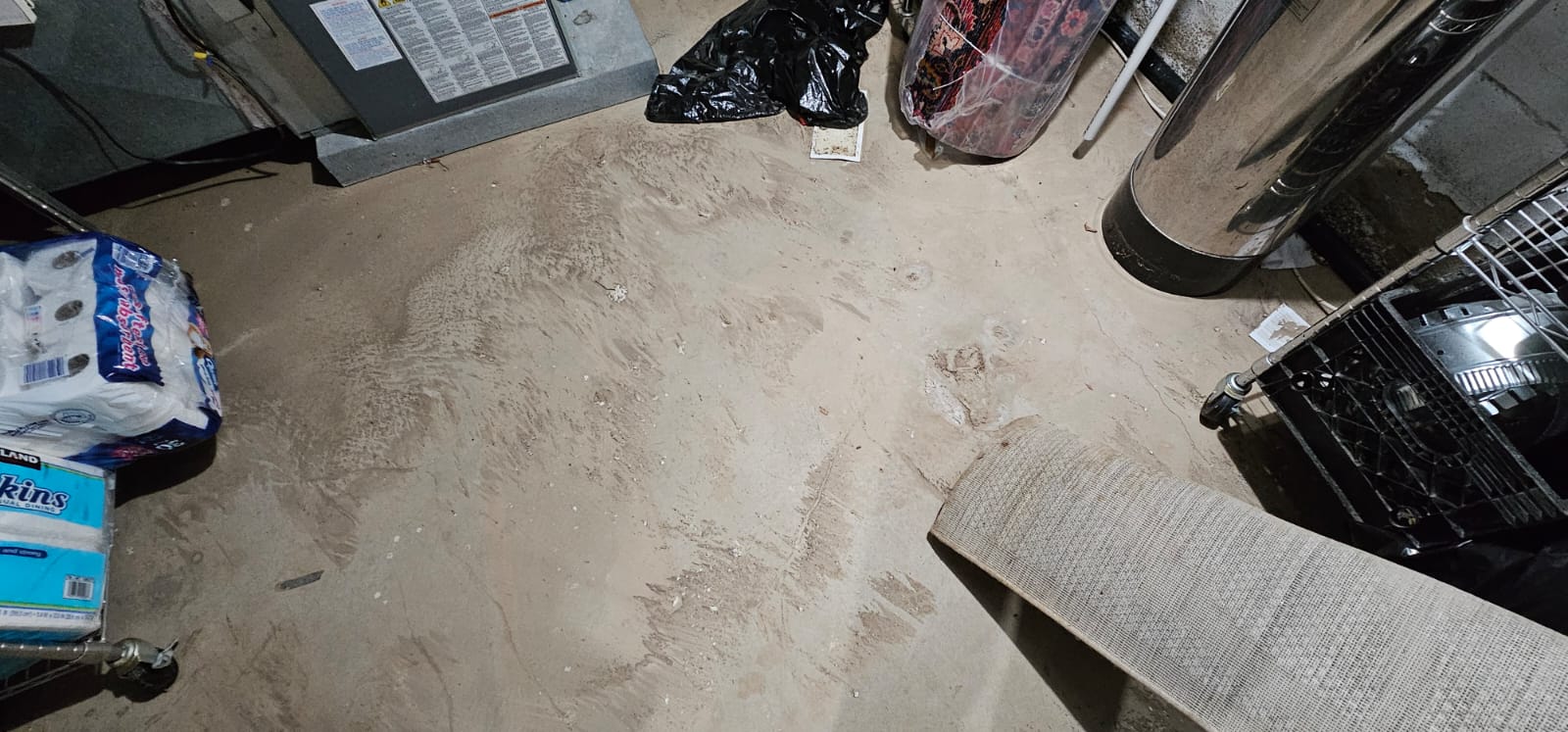 Read more about the article Disinfecting a Basement After Flooding
